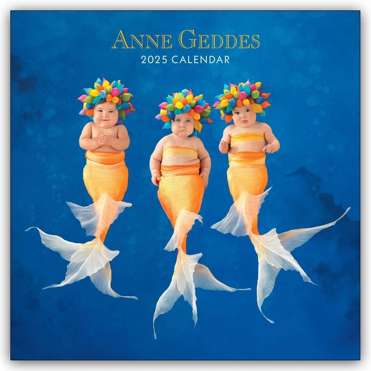 Cover: 9781524888916 | Anne Geddes 2025 Wall Calendar | Anne Geddes | Kalender | 14 S. | 2025