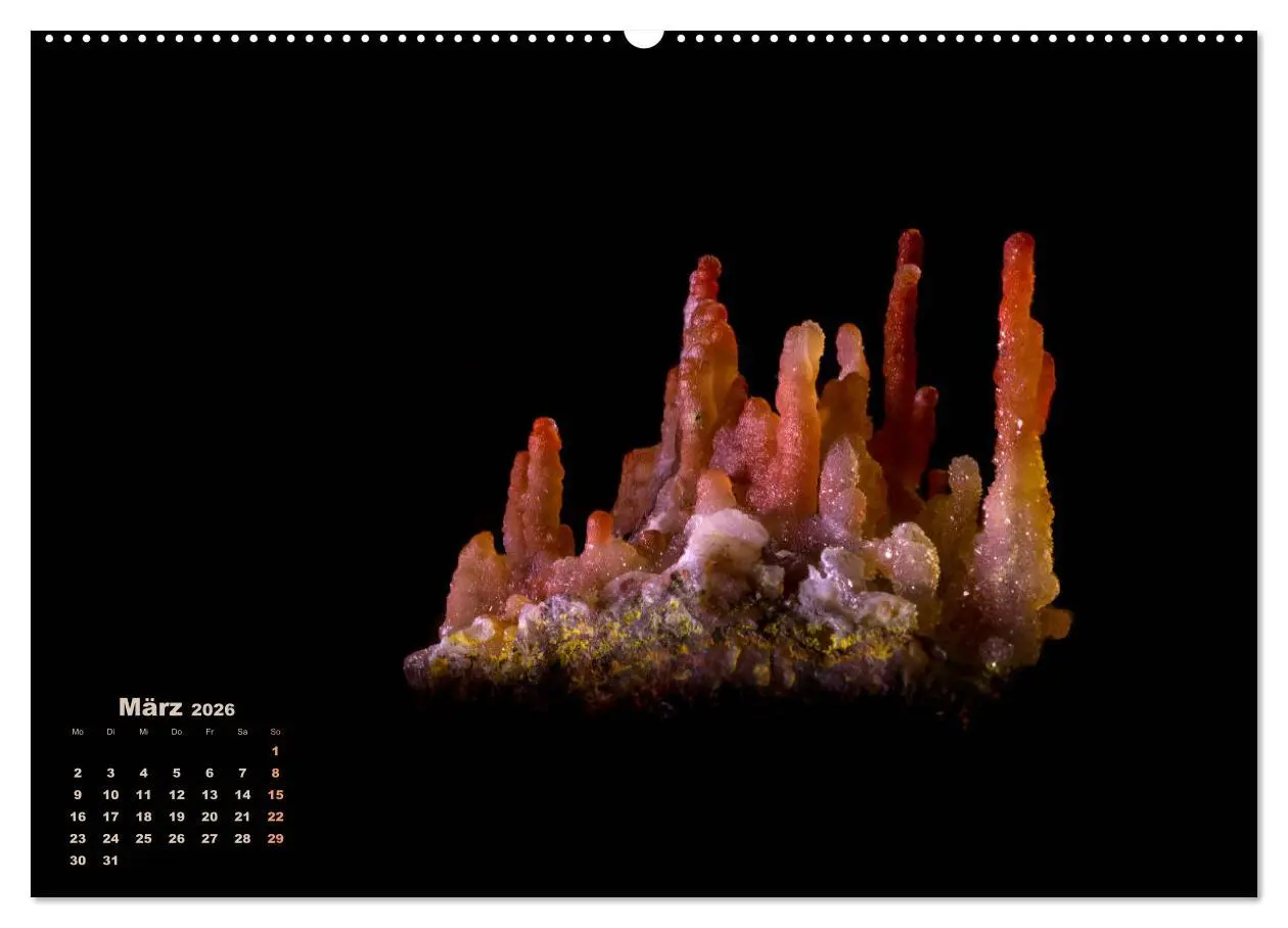 Bild: 9783457748916 | MINERALIEN designed by nature (hochwertiger Premium Wandkalender...