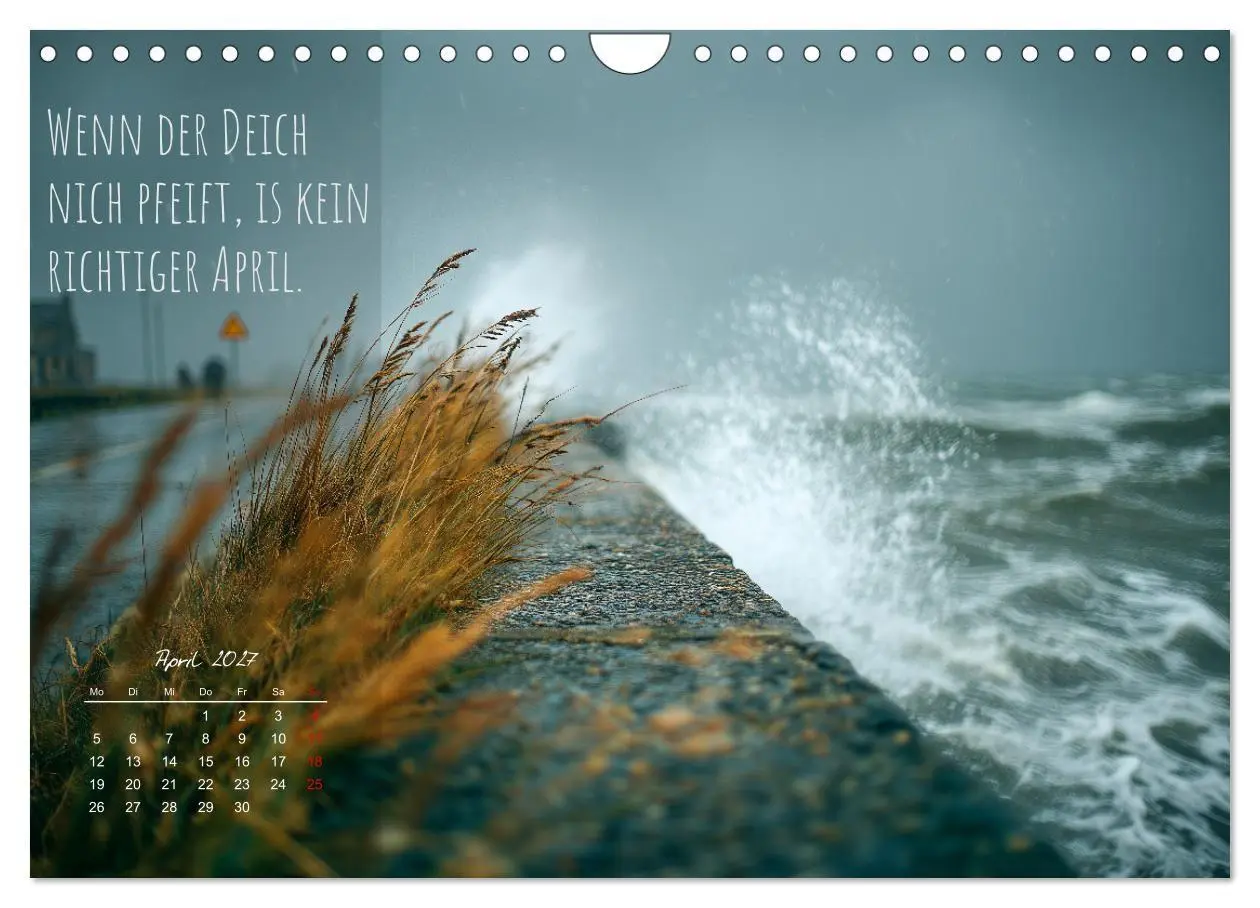 Bild: 9783516908916 | Moin Moin ist schon gesabbel - Norddeutscher Sprüche-Kalender...