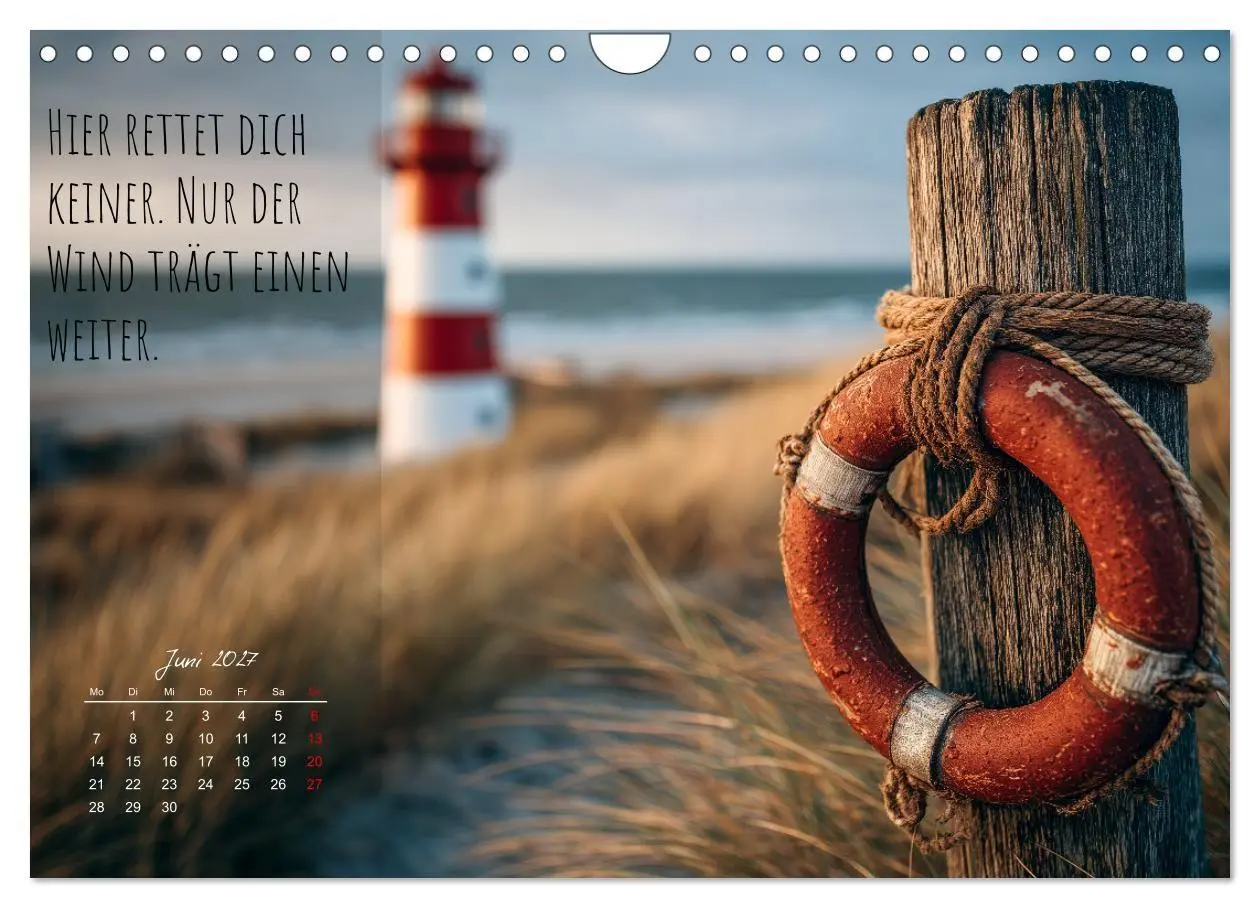 Bild: 9783516908916 | Moin Moin ist schon gesabbel - Norddeutscher Sprüche-Kalender...