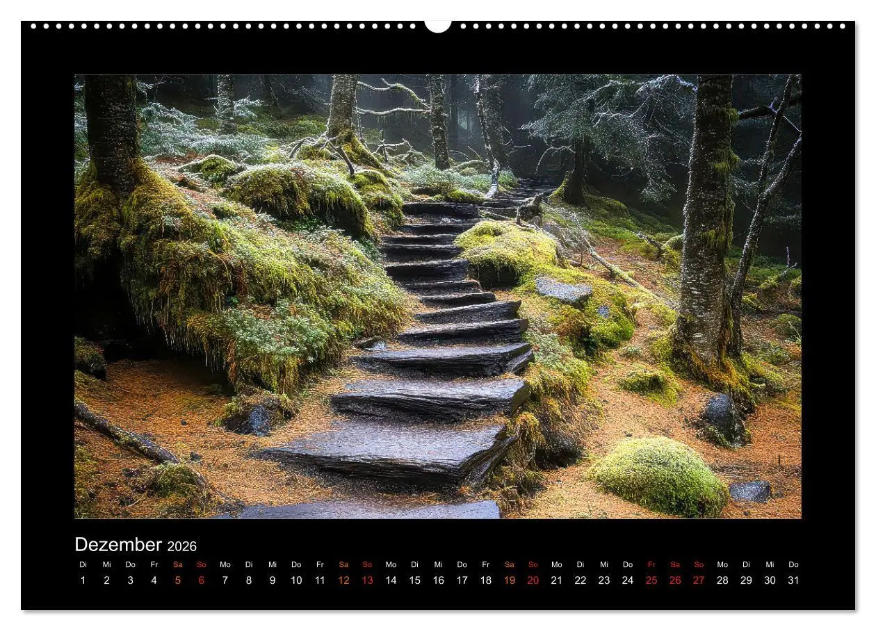 Bild: 9783457259016 | Geheimnisvolle Wege (Wandkalender 2026 DIN A2 quer), CALVENDO...