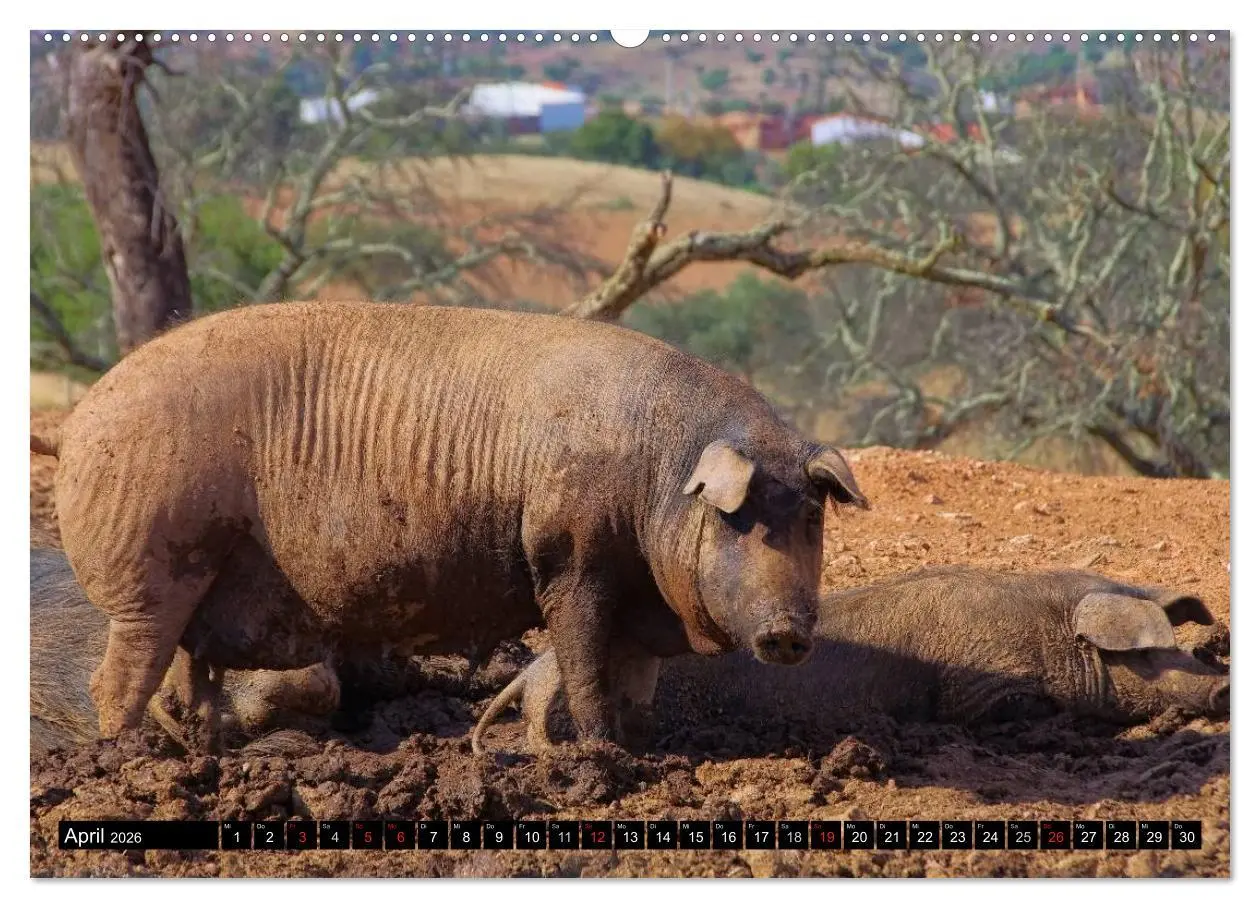 Bild: 9783516109016 | Extremadura - Unbekanntes Spanien (hochwertiger Premium...