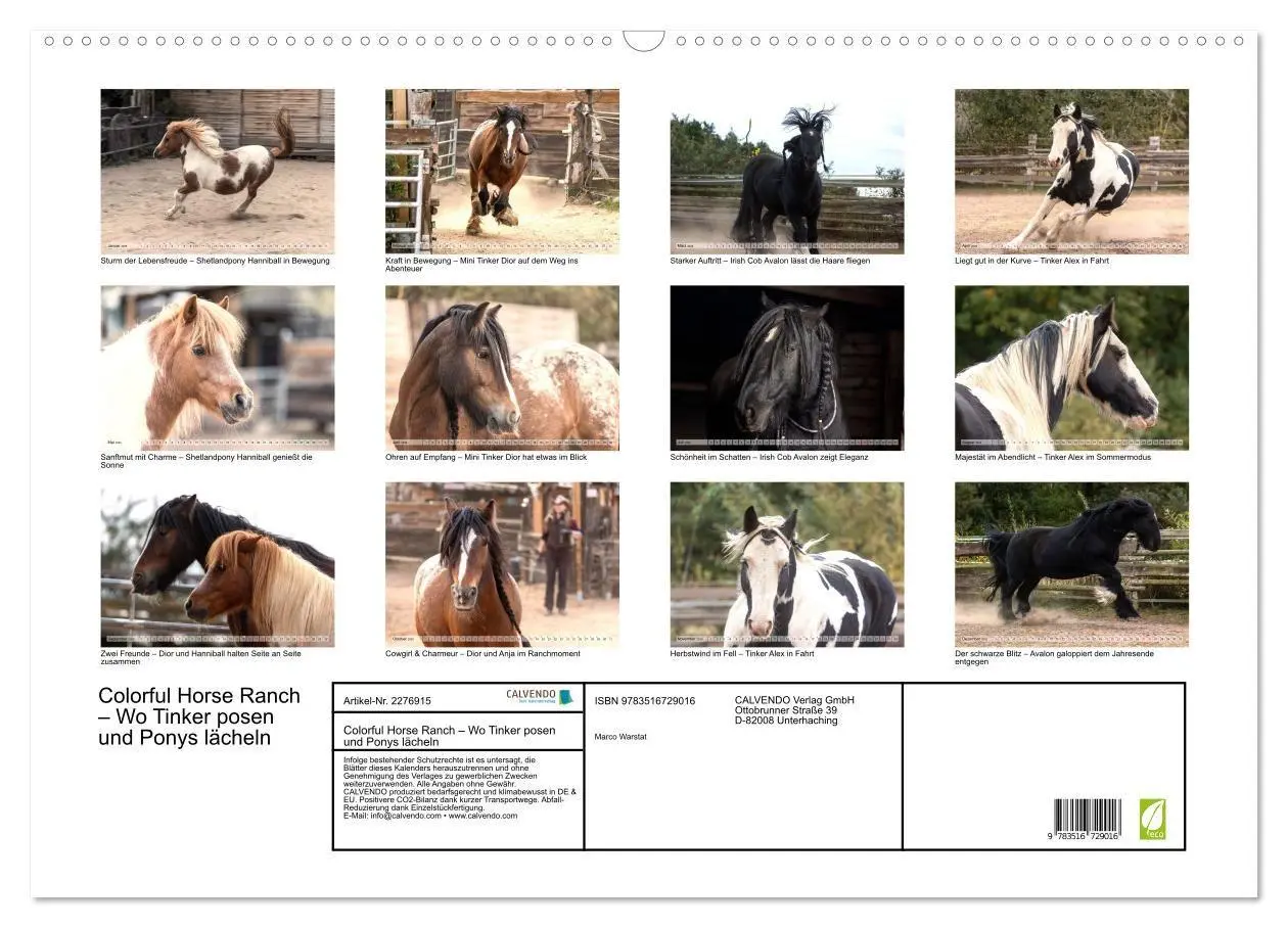 Bild: 9783516729016 | Colorful Horse Ranch - Wo Tinker posen und Ponys lächeln...