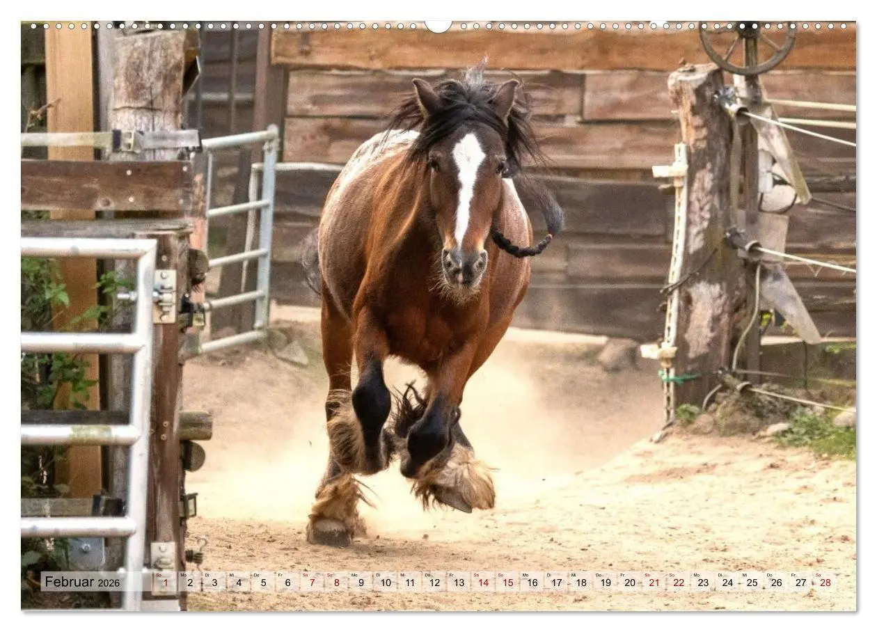 Bild: 9783516729016 | Colorful Horse Ranch - Wo Tinker posen und Ponys lächeln...