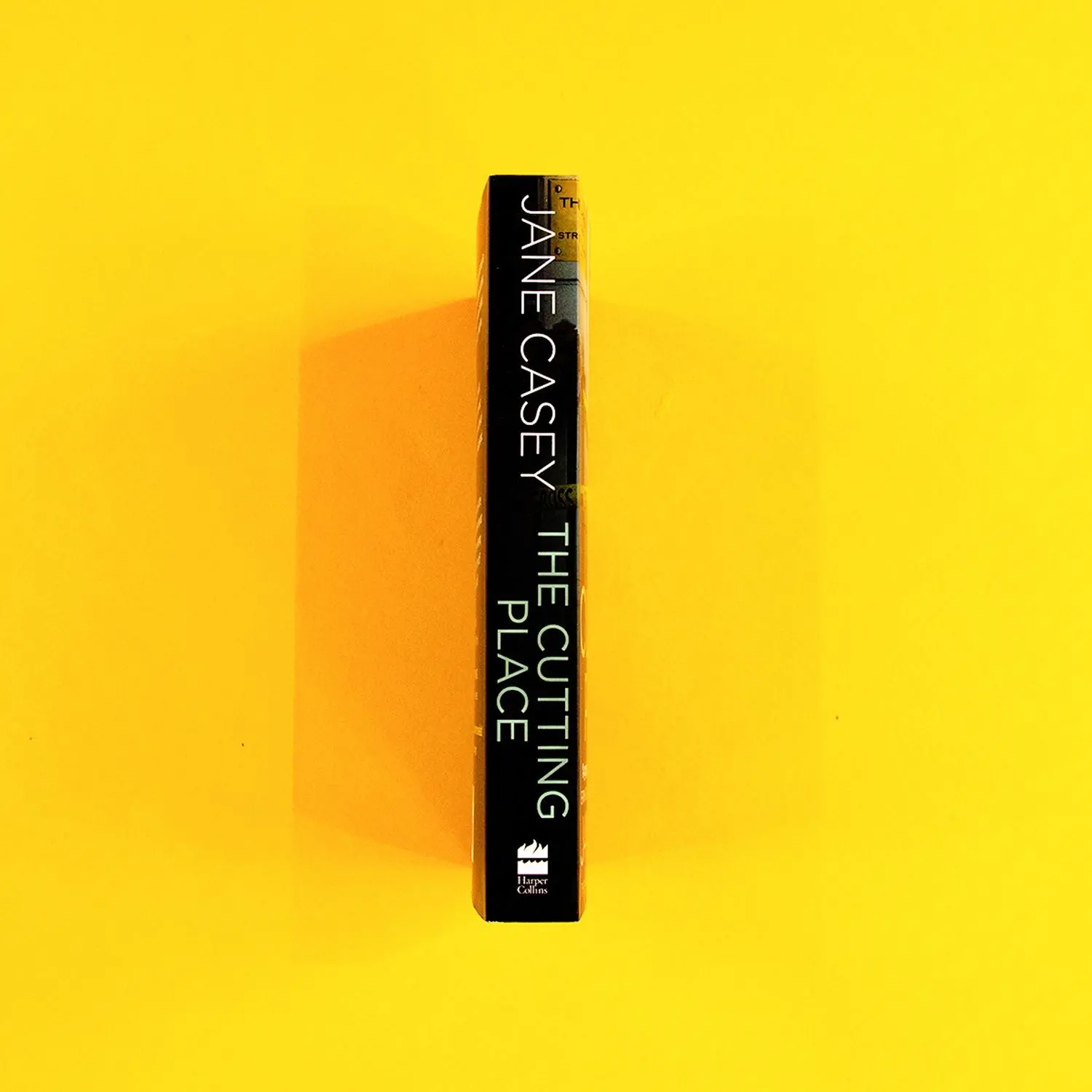 Bild: 9780008149116 | The Cutting Place | Jane Casey | Taschenbuch | Kartoniert / Broschiert