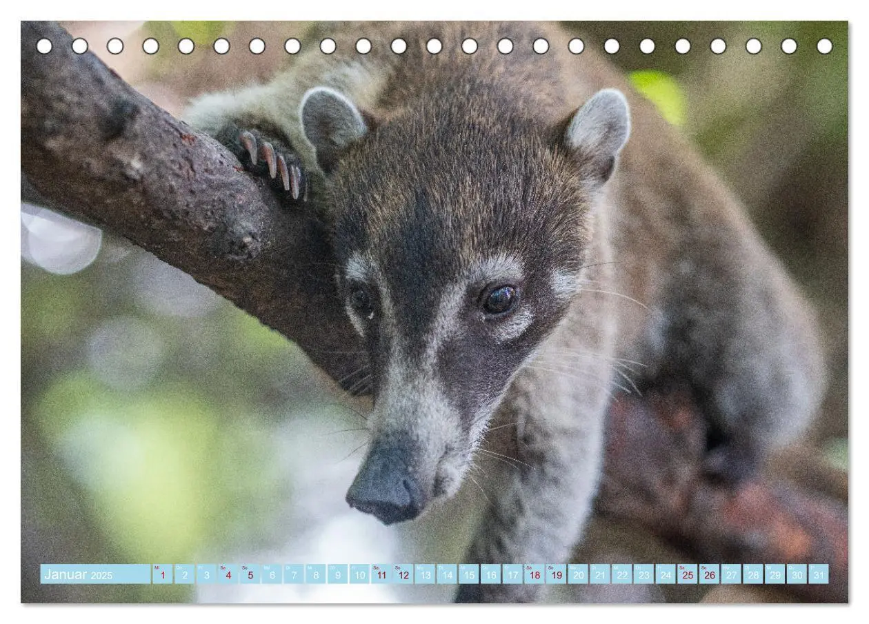 Bild: 9783383999116 | Mexiko - Die wunderschöne Halbinsel Yucatán Fotokalender 2025...