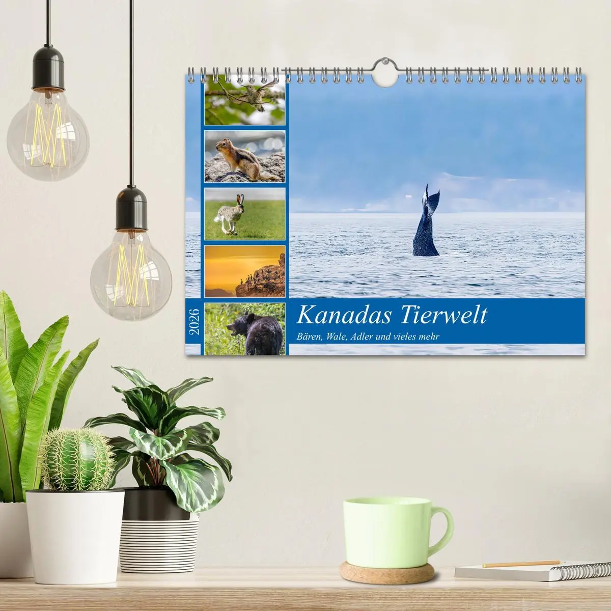 Bild: 9783457559116 | Kanadas Tierwelt - Bären, Wale und vieles mehr (Wandkalender 2026...