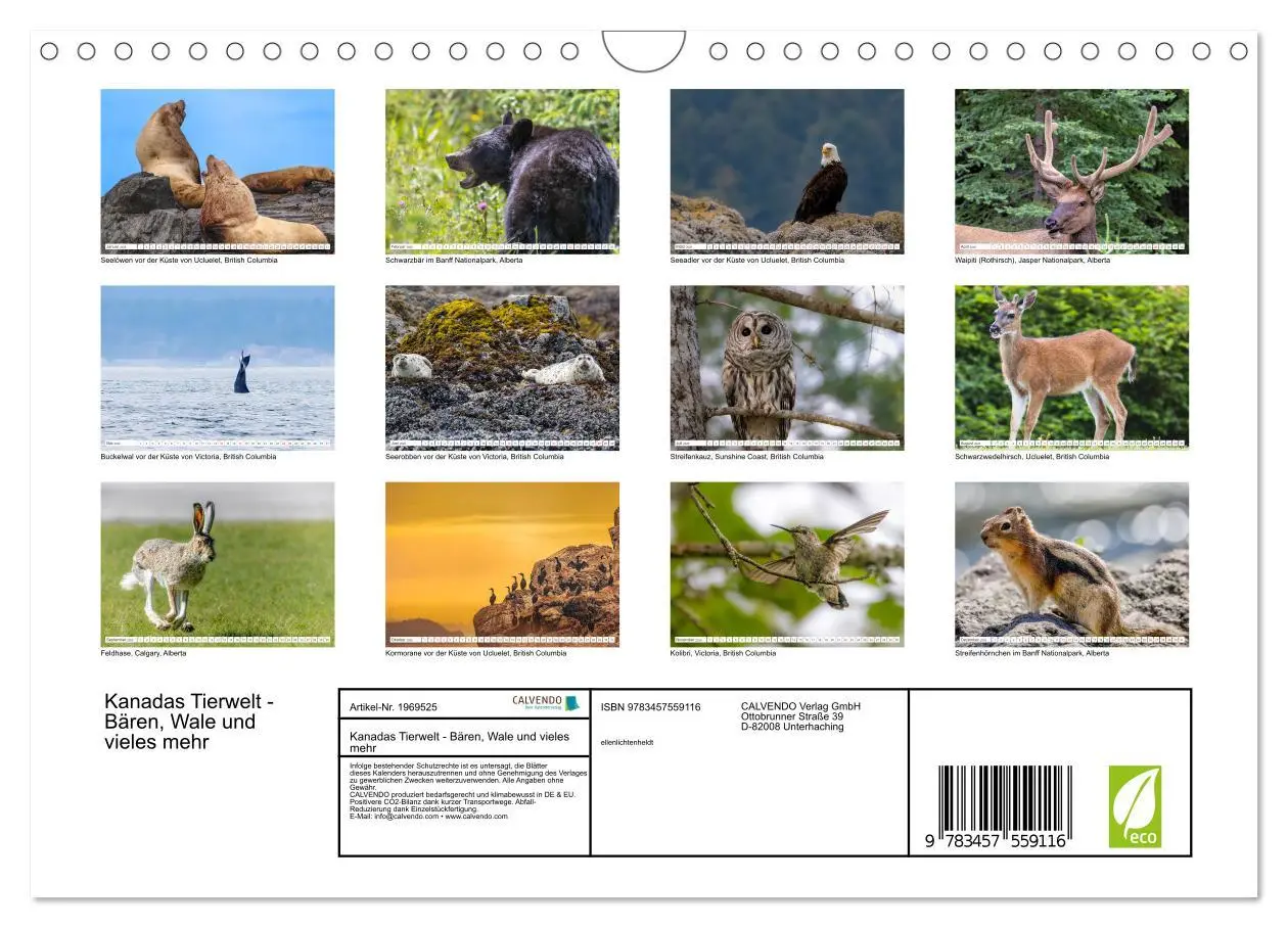 Bild: 9783457559116 | Kanadas Tierwelt - Bären, Wale und vieles mehr (Wandkalender 2026...