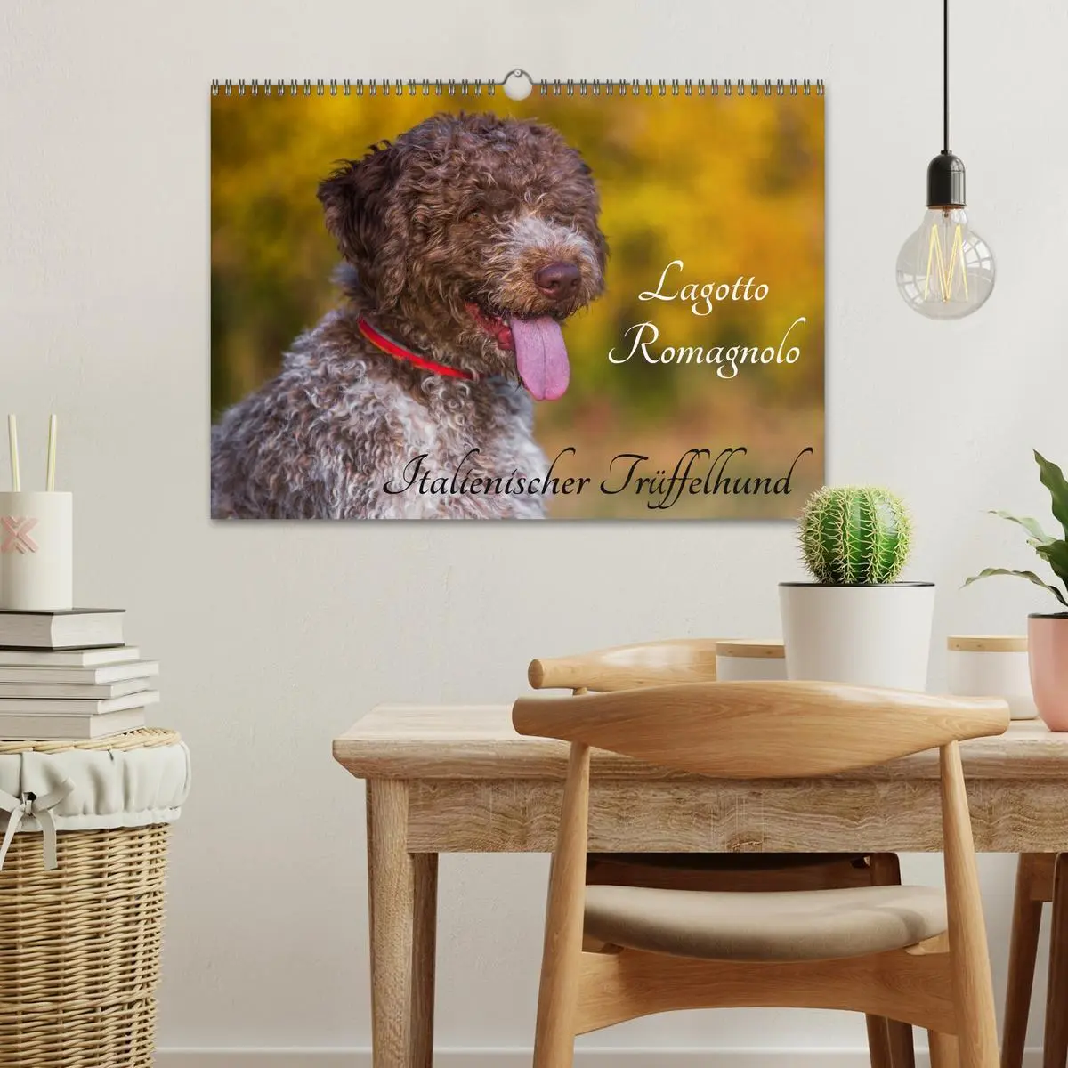 Bild: 9783516029116 | Lagotto Romagnolo - Italienischer Trüffelhund (Wandkalender 2026...