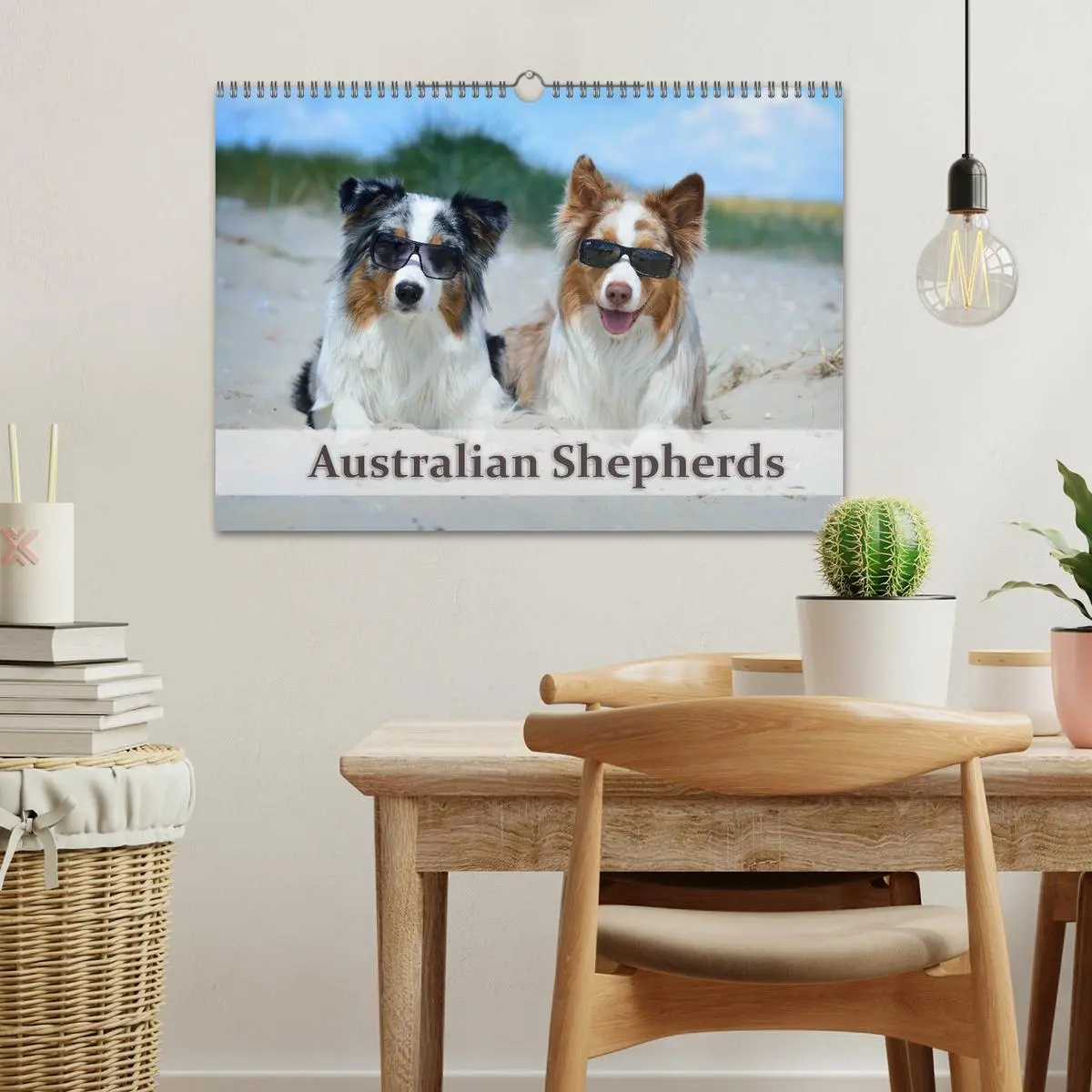 Bild: 9783516199116 | Wunderbare Australian Shepherds (Wandkalender 2026 DIN A3 quer),...