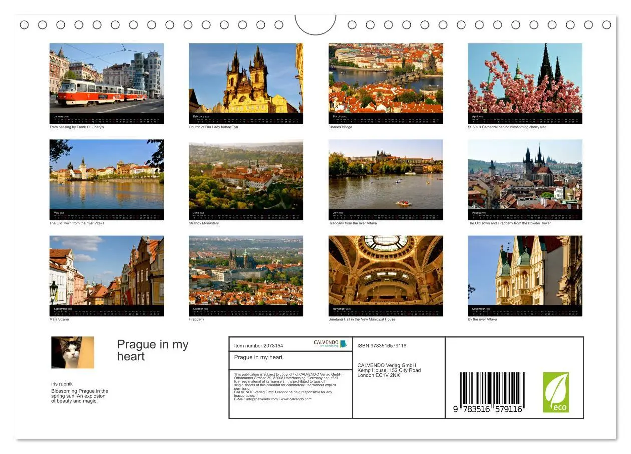 Bild: 9783516579116 | Prague in my heart (Wall Calendar 2026 DIN A4 landscape), CALVENDO...