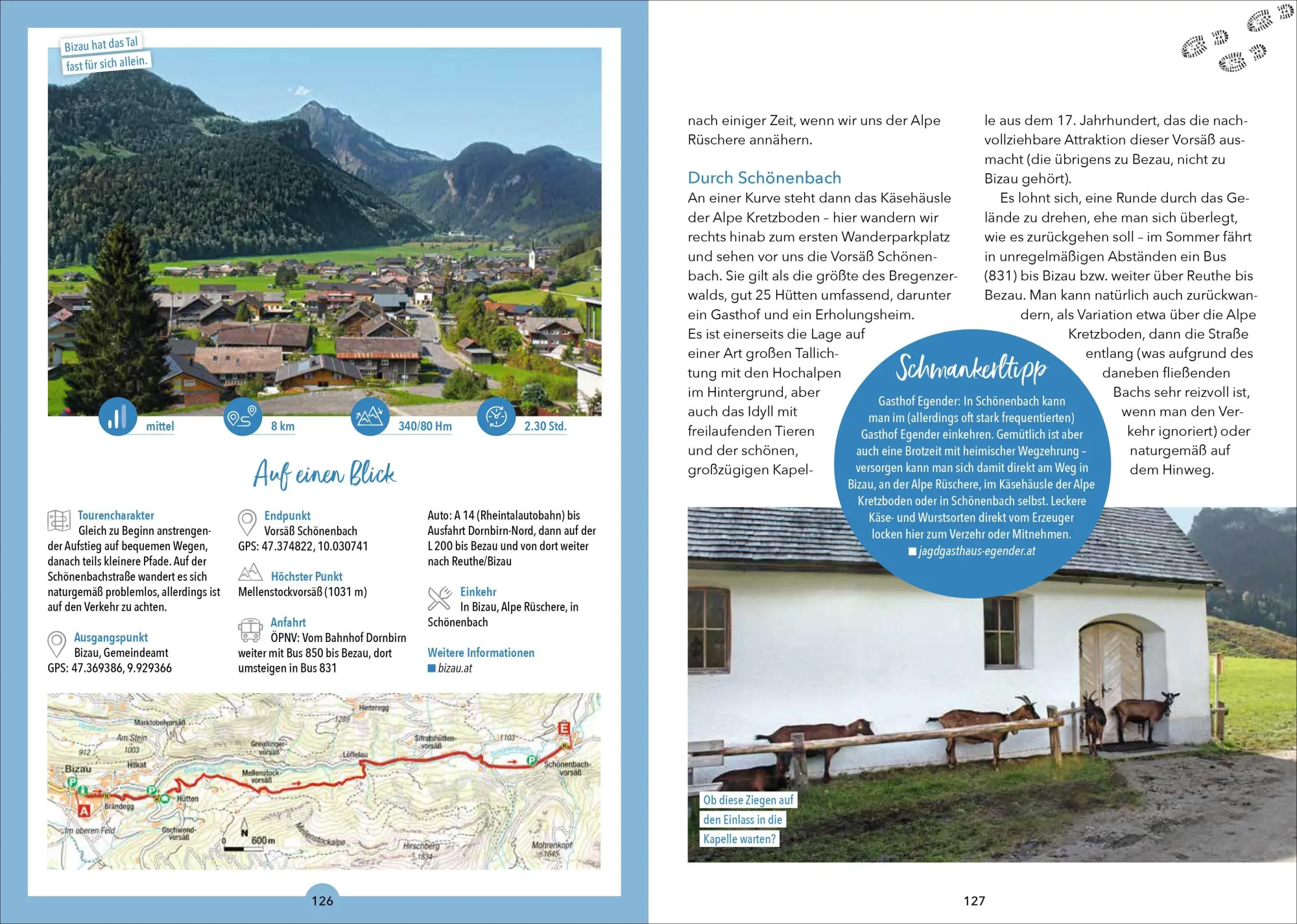 Bild: 9783862469116 | Wanderungen für Senioren Bregenzerwald | Benedikt Grimmler | Buch