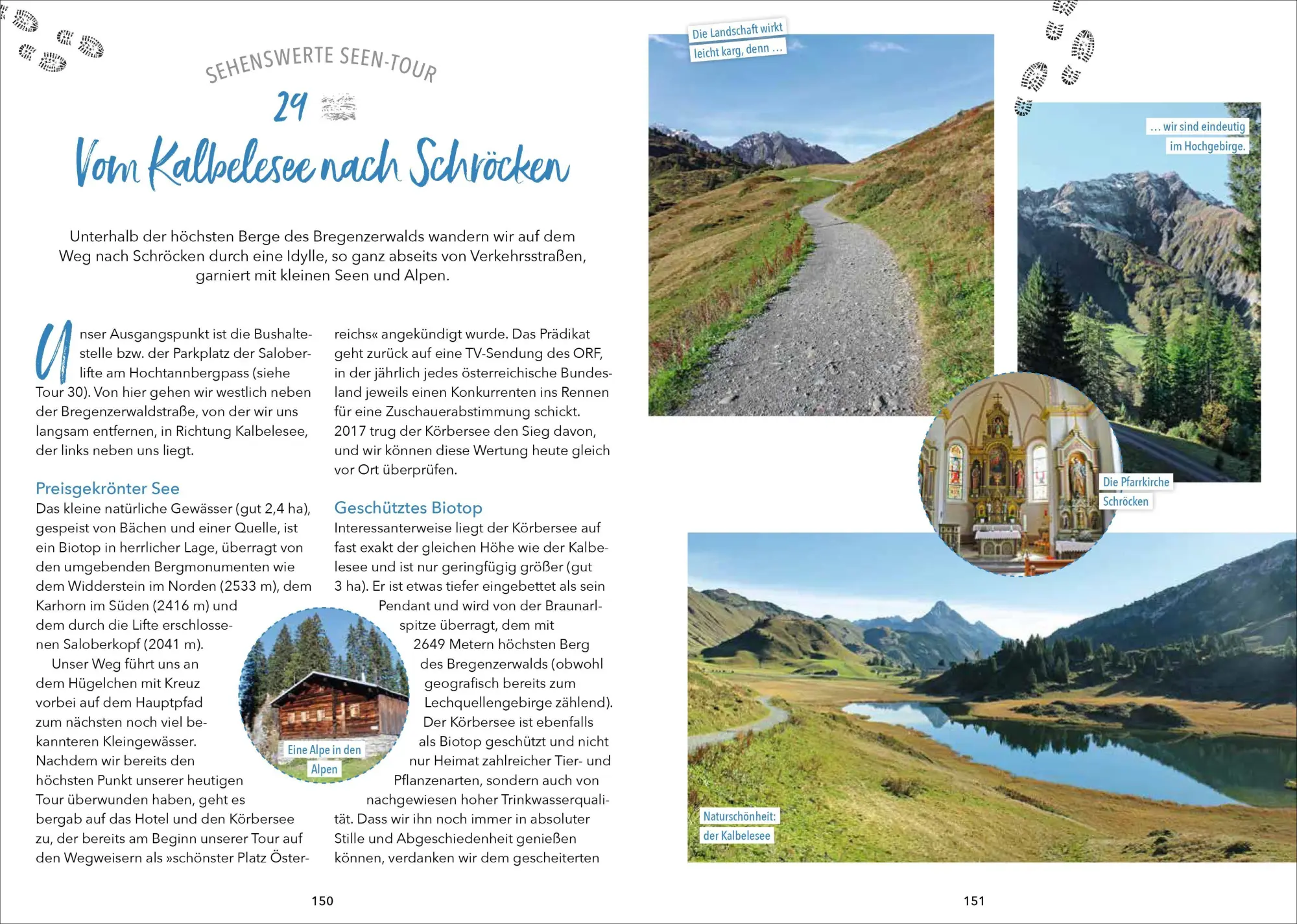 Bild: 9783862469116 | Wanderungen für Senioren Bregenzerwald | Benedikt Grimmler | Buch