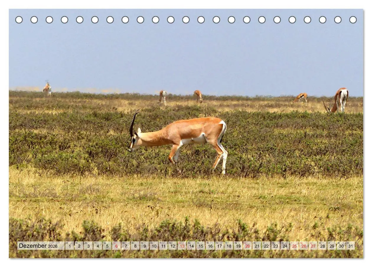 Bild: 9783457929216 | Tansania. Impressionen aus Ostafrika (Tischkalender 2026 DIN A5...