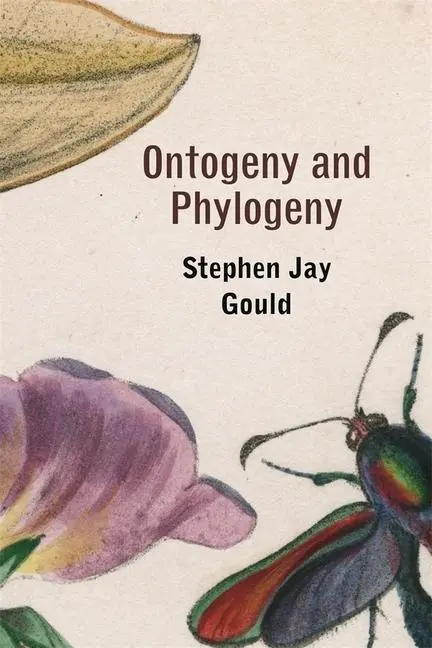 Cover: 9780674639416 | Ontogeny and Phylogeny | Stephen Jay Gould | Taschenbuch | Englisch
