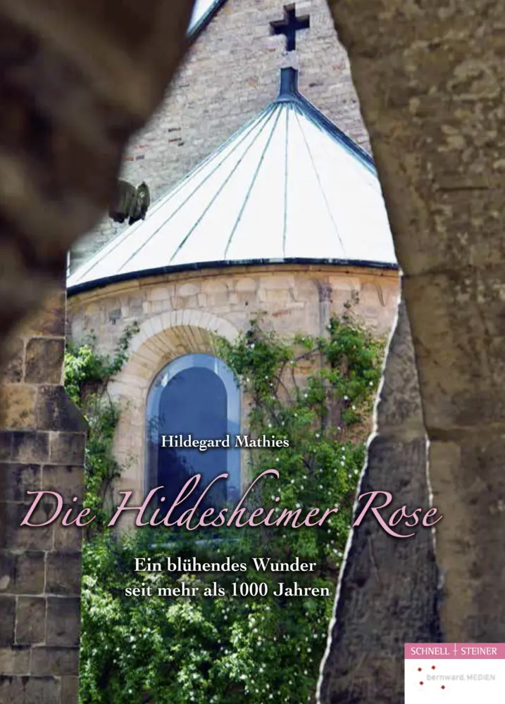 Cover: 9783795429416 | Die Hildesheimer Rose | Ein blühendes Wunder seit mehr als 1000 Jahren