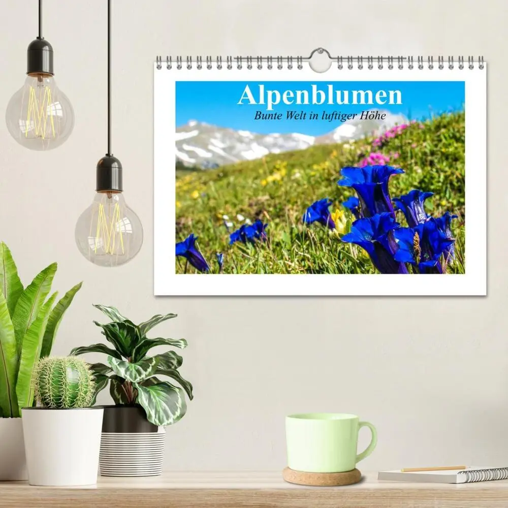 Bild: 9783435599516 | Alpenblumen. Bunte Welt in luftiger Höhe (Wandkalender 2025 DIN A4...