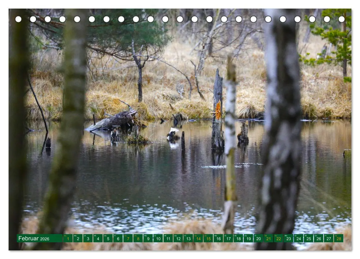 Bild: 9783457449516 | Der Loben. Im Reich der Moorgeister und Kreuzottern-...