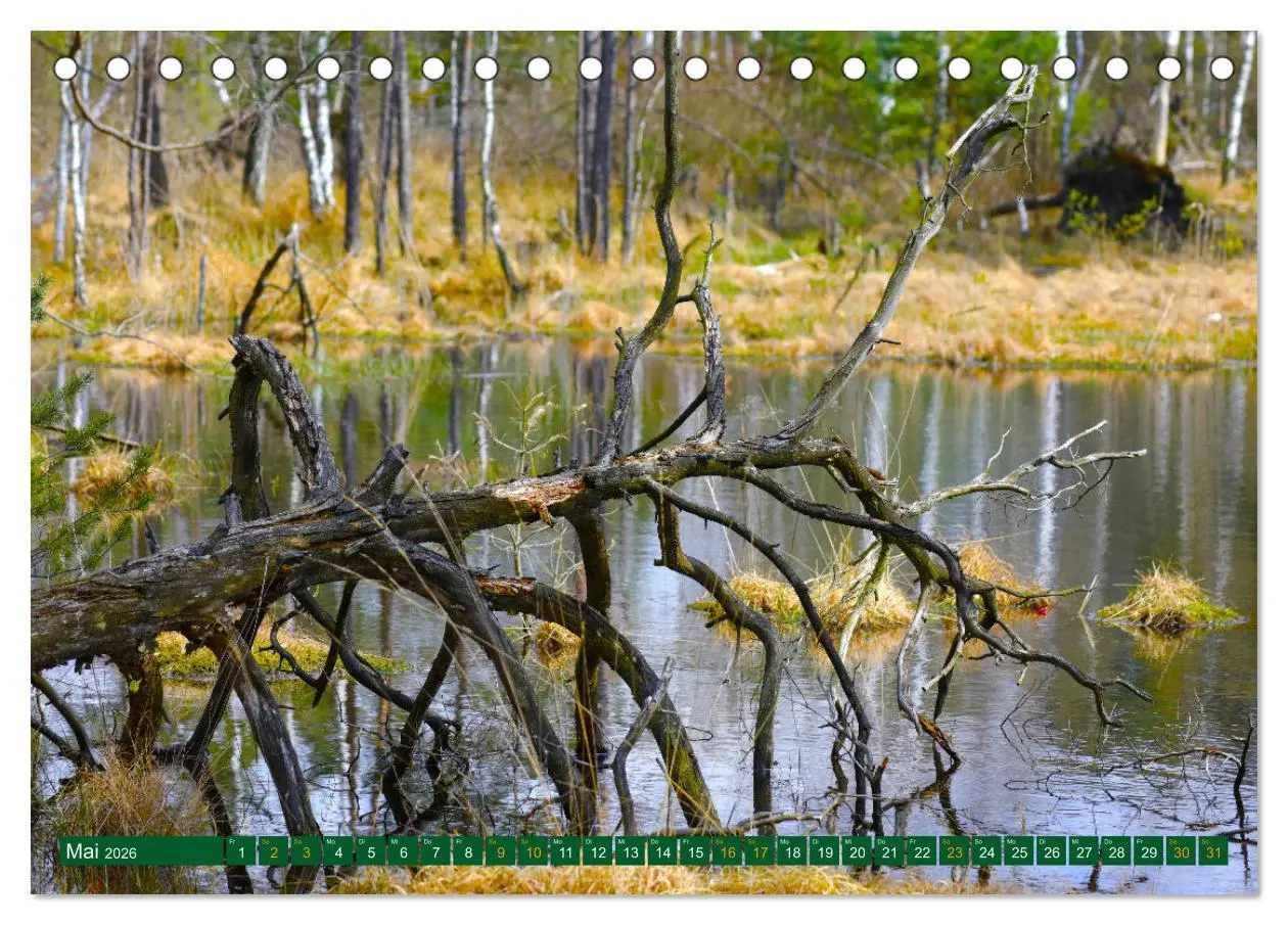Bild: 9783457449516 | Der Loben. Im Reich der Moorgeister und Kreuzottern-...