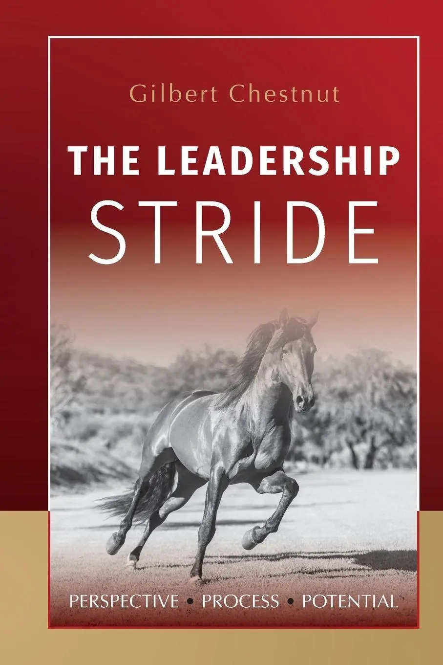 Cover: 9798822939516 | The Leadership Stride | Perspective Process Potential | Chestnut