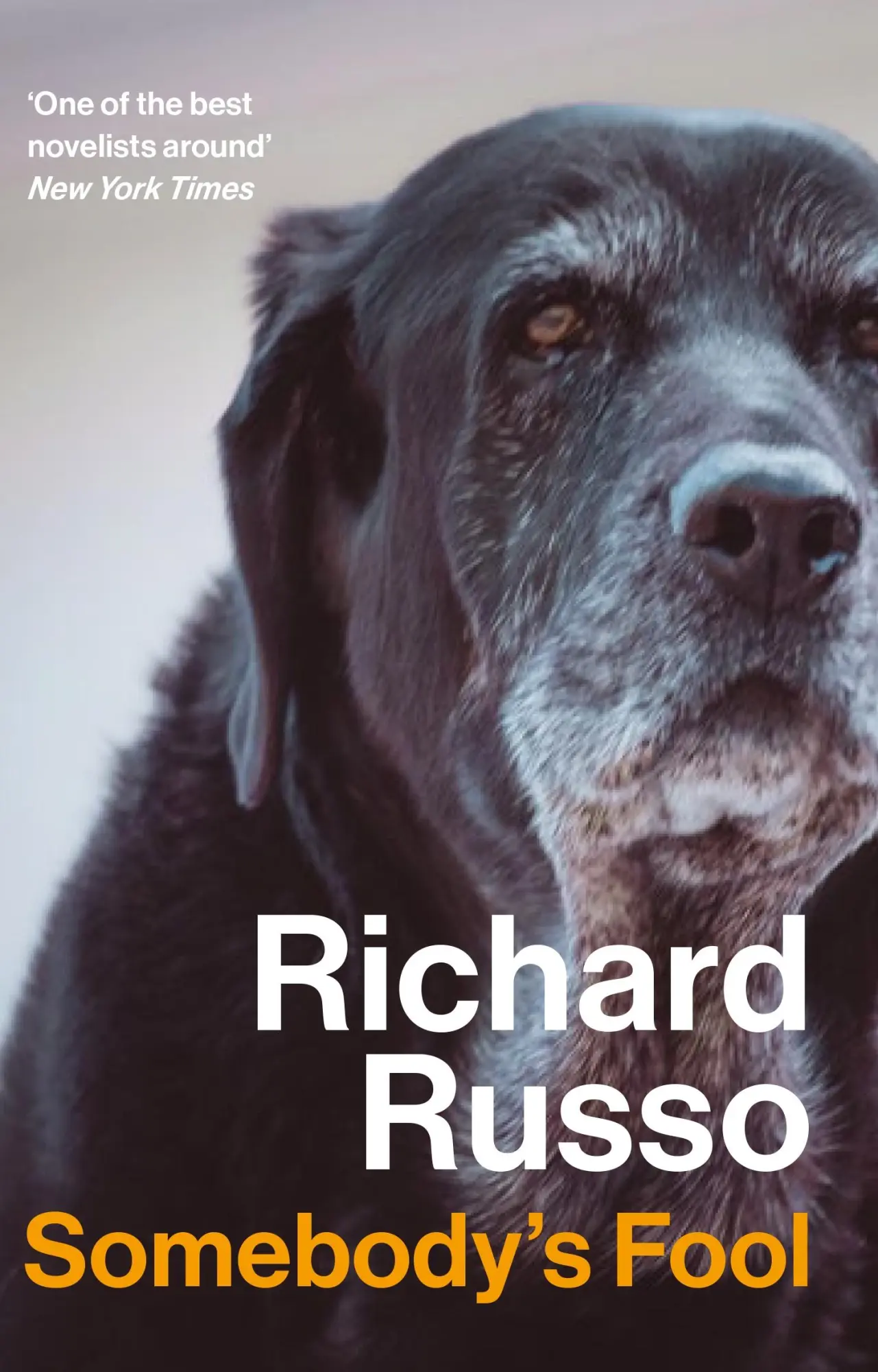 Cover: 9781838959616 | Somebody's Fool | Richard Russo | Taschenbuch | 464 S. | Englisch