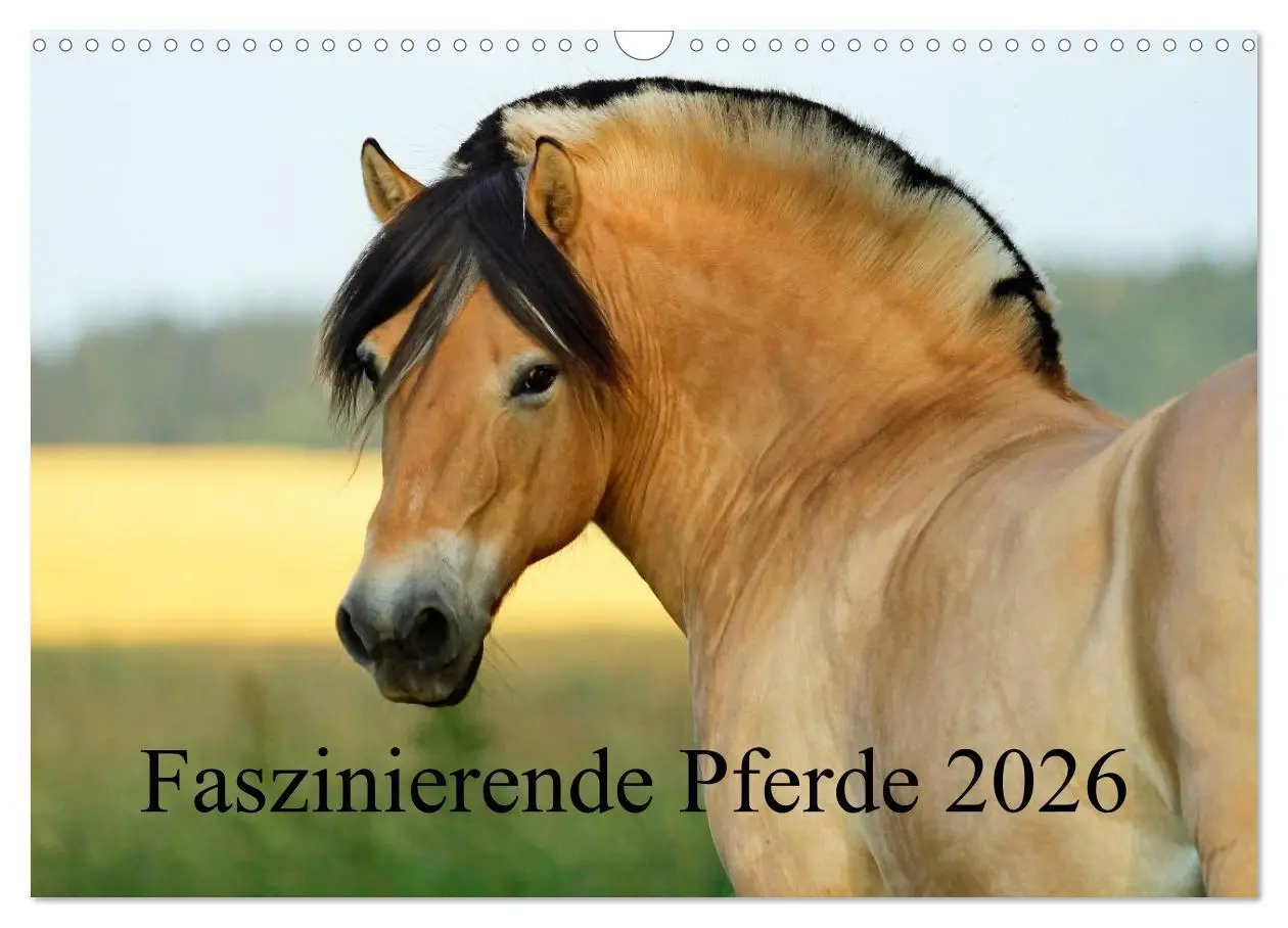 Cover: 9783457989616 | Faszinierende Pferde 2026 (Wandkalender 2026 DIN A3 quer), CALVENDO...