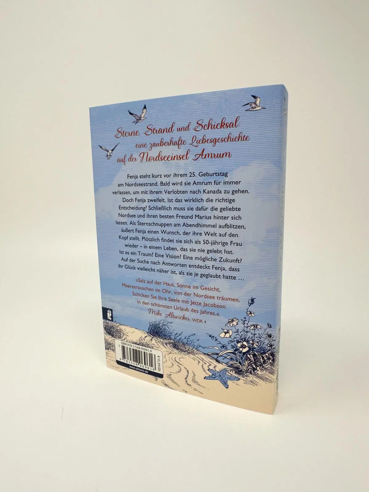 Bild: 9783548069616 | Hinter den Dünen warten die Träume | Jette Jacobson | Taschenbuch