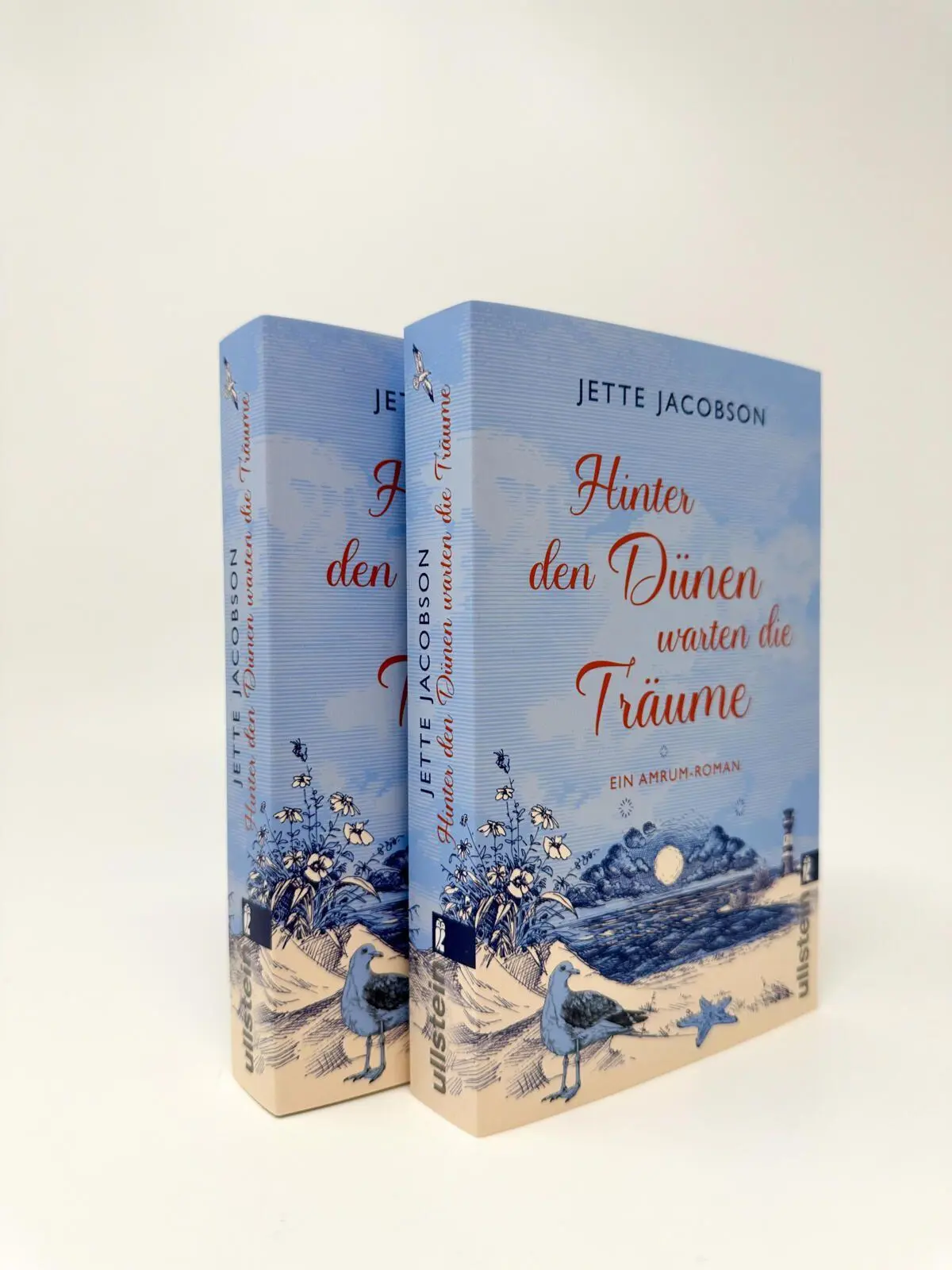 Bild: 9783548069616 | Hinter den Dünen warten die Träume | Jette Jacobson | Taschenbuch