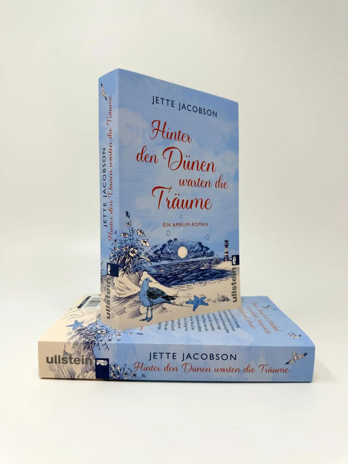 Bild: 9783548069616 | Hinter den Dünen warten die Träume | Jette Jacobson | Taschenbuch