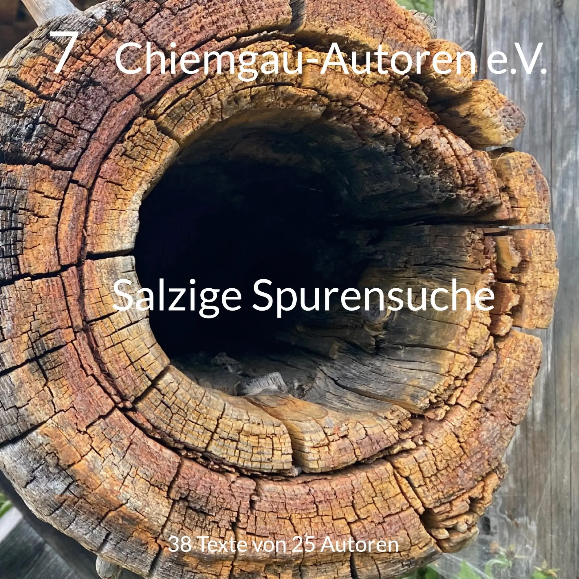 Cover: 9783759799616 | Salzige Spurensuche | Chiemgau-Autoren e. V. Chiemgau-Autoren e. V.
