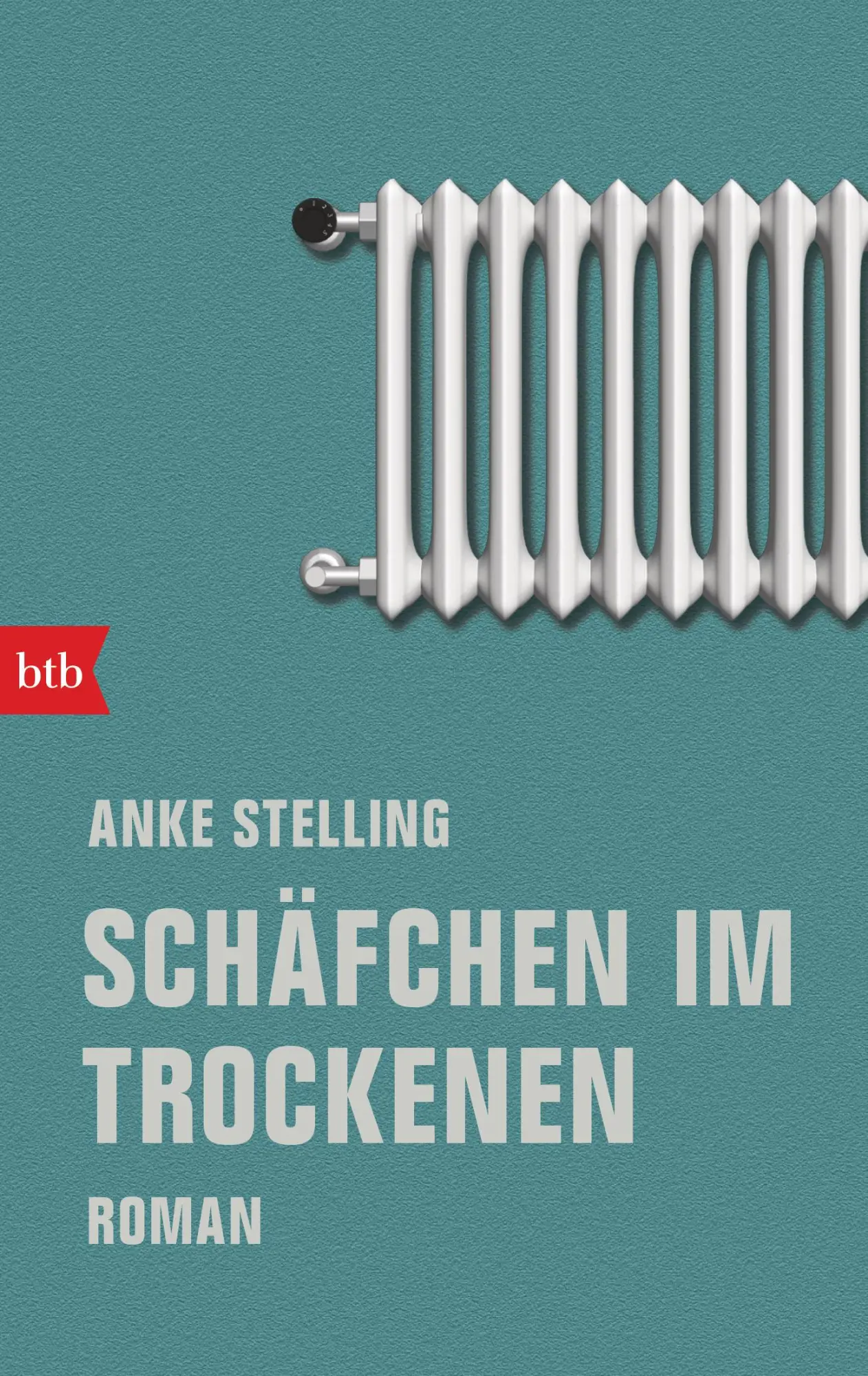 Cover: 9783442719716 | Schäfchen im Trockenen | Roman | Anke Stelling | Taschenbuch | 272 S.