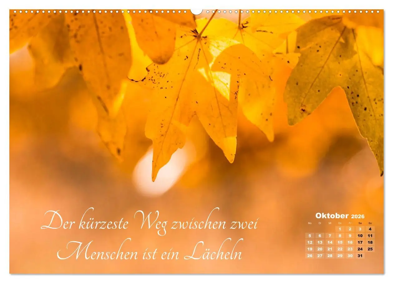 Bild: 9783457809716 | Chinesische Weisheiten (Wandkalender 2026 DIN A2 quer), CALVENDO...