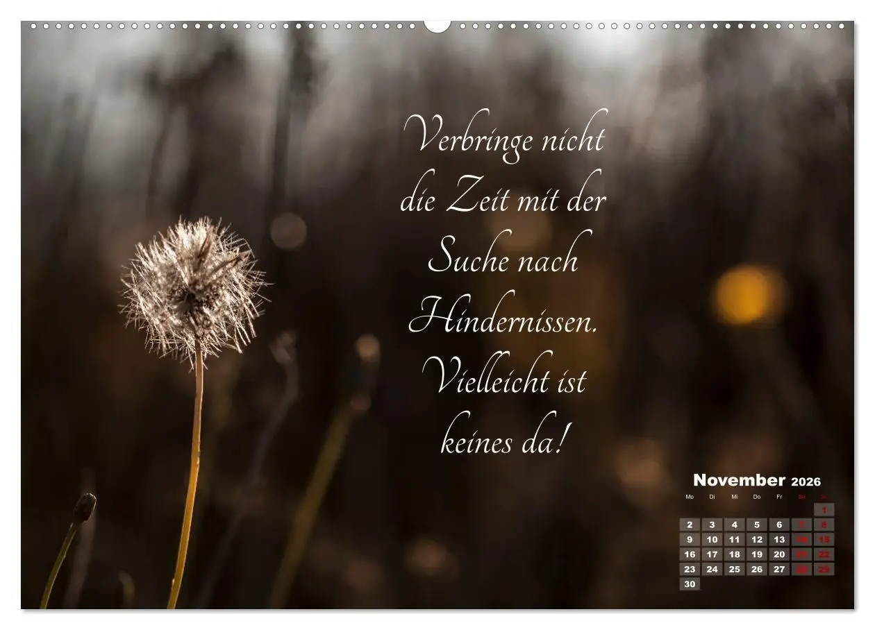 Bild: 9783457809716 | Chinesische Weisheiten (Wandkalender 2026 DIN A2 quer), CALVENDO...