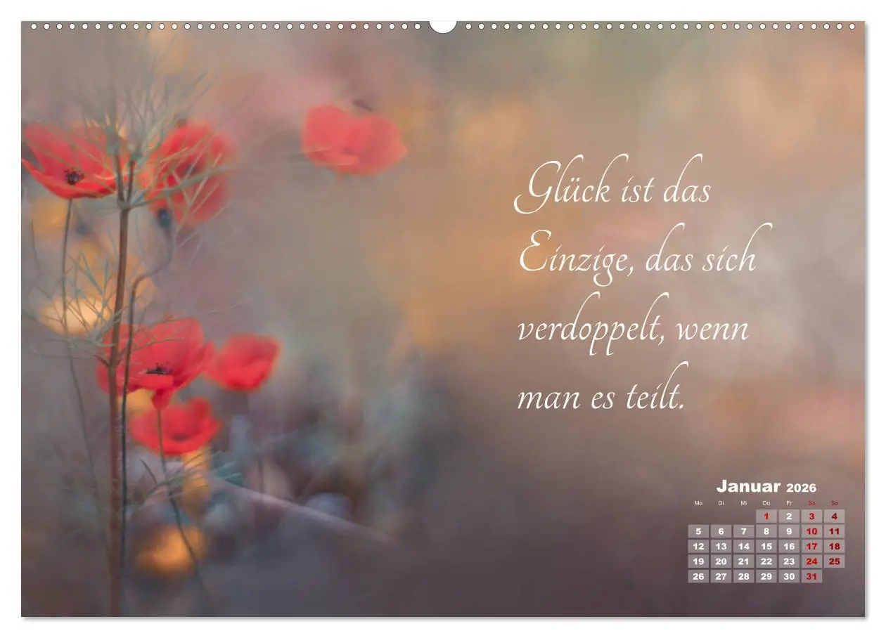 Bild: 9783457809716 | Chinesische Weisheiten (Wandkalender 2026 DIN A2 quer), CALVENDO...