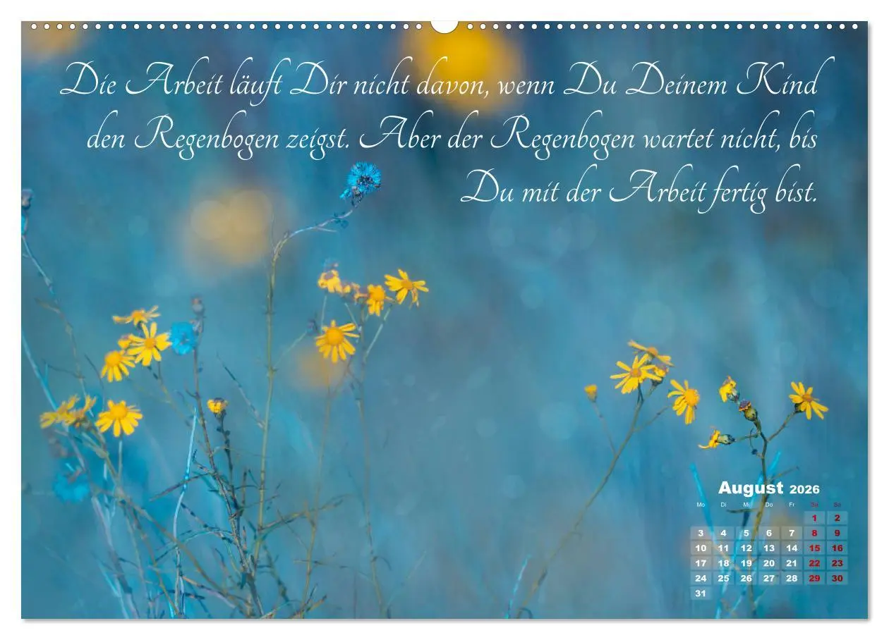 Bild: 9783457809716 | Chinesische Weisheiten (Wandkalender 2026 DIN A2 quer), CALVENDO...