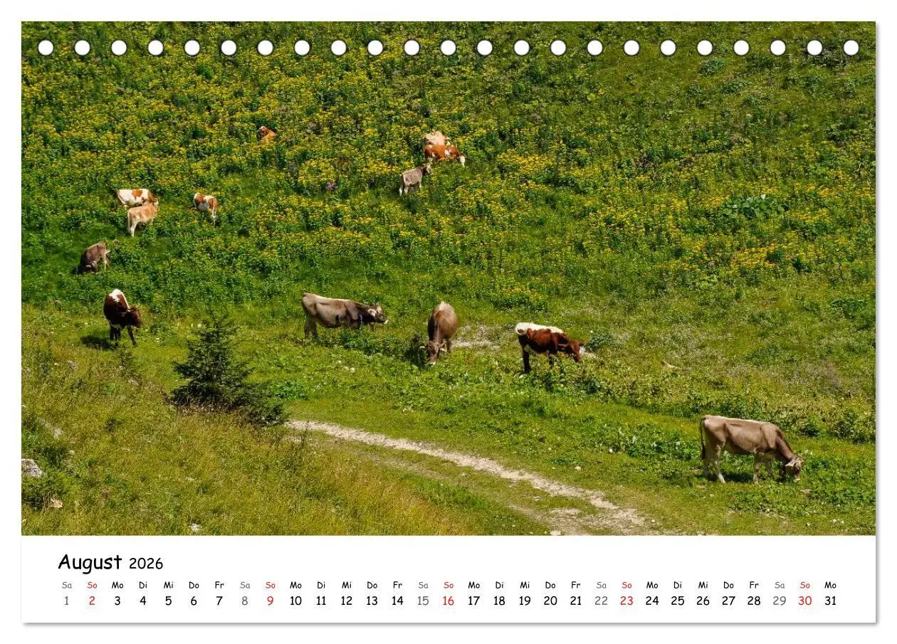 Bild: 9783516139716 | Unterwegs im Allgäu (Tischkalender 2026 DIN A5 quer), CALVENDO...