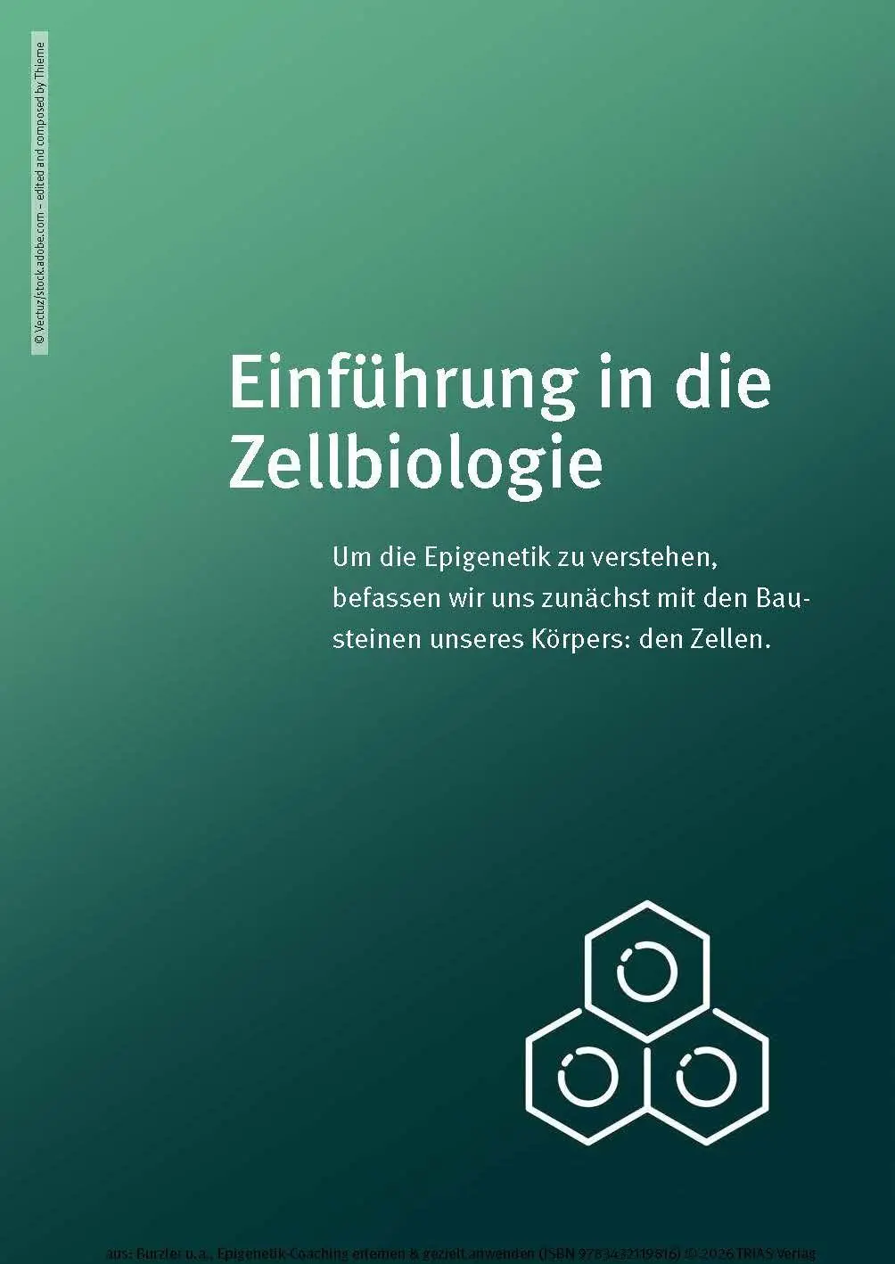 Bild: 9783432119816 | Epigenetik-Coaching erlernen &amp; gezielt anwenden | Burzler (u. a.)