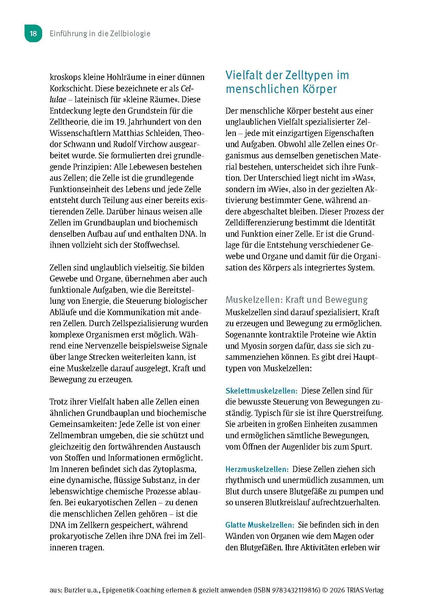 Bild: 9783432119816 | Epigenetik-Coaching erlernen &amp; gezielt anwenden | Burzler (u. a.)