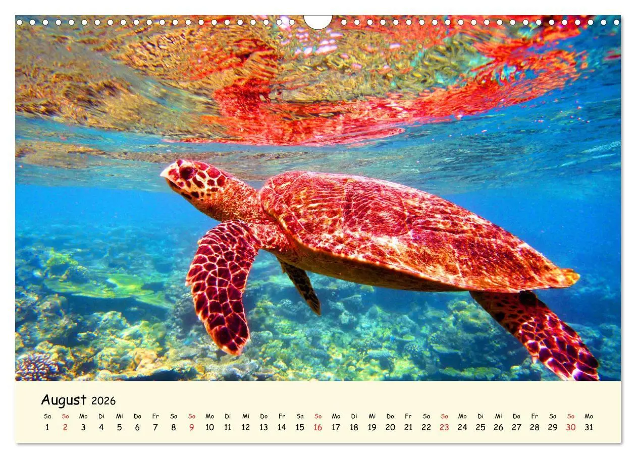 Bild: 9783516049916 | Faszination Meeresschildkröten (Wandkalender 2026 DIN A3 quer),...