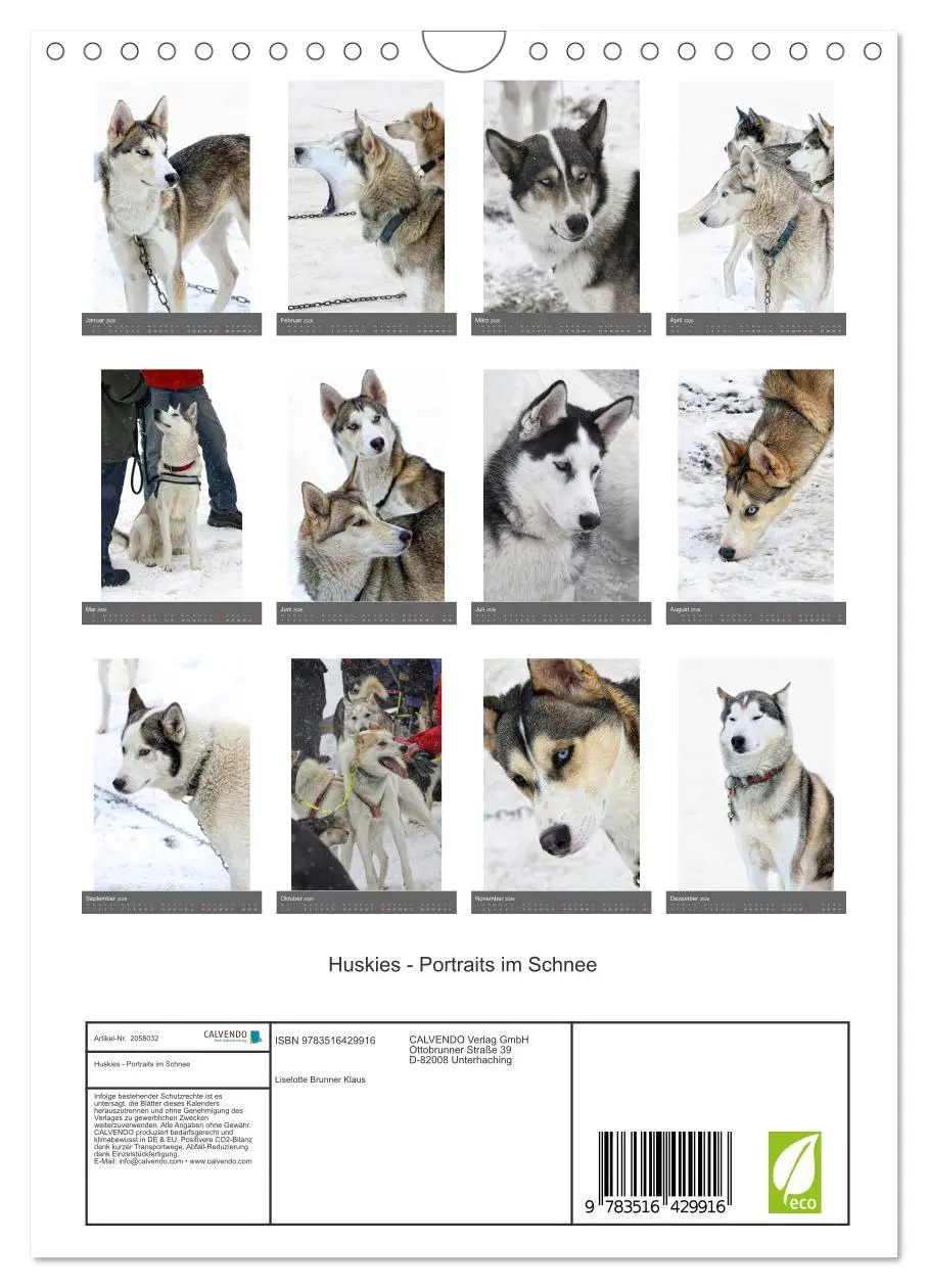 Bild: 9783516429916 | Huskies - Portraits im Schnee (Wandkalender 2026 DIN A4 hoch),...