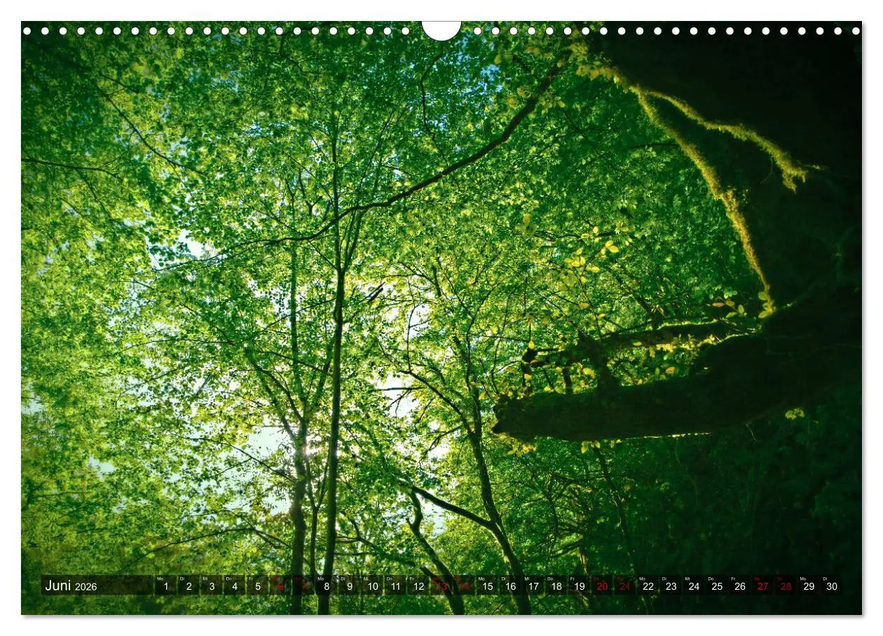 Bild: 9783457900017 | Slowenien - Soca Tal (Wandkalender 2026 DIN A3 quer), CALVENDO...