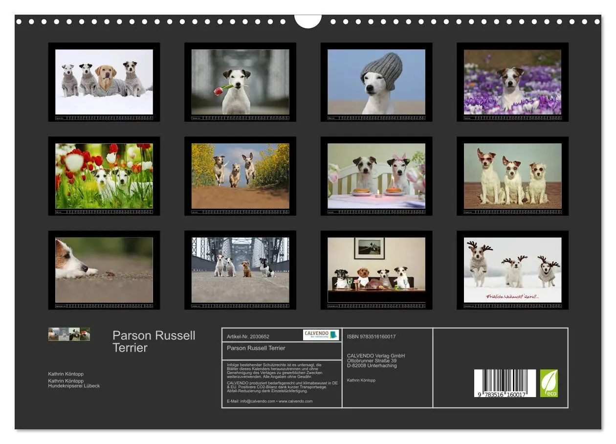 Bild: 9783516160017 | Parson Russell Terrier (Wandkalender 2026 DIN A3 quer), CALVENDO...