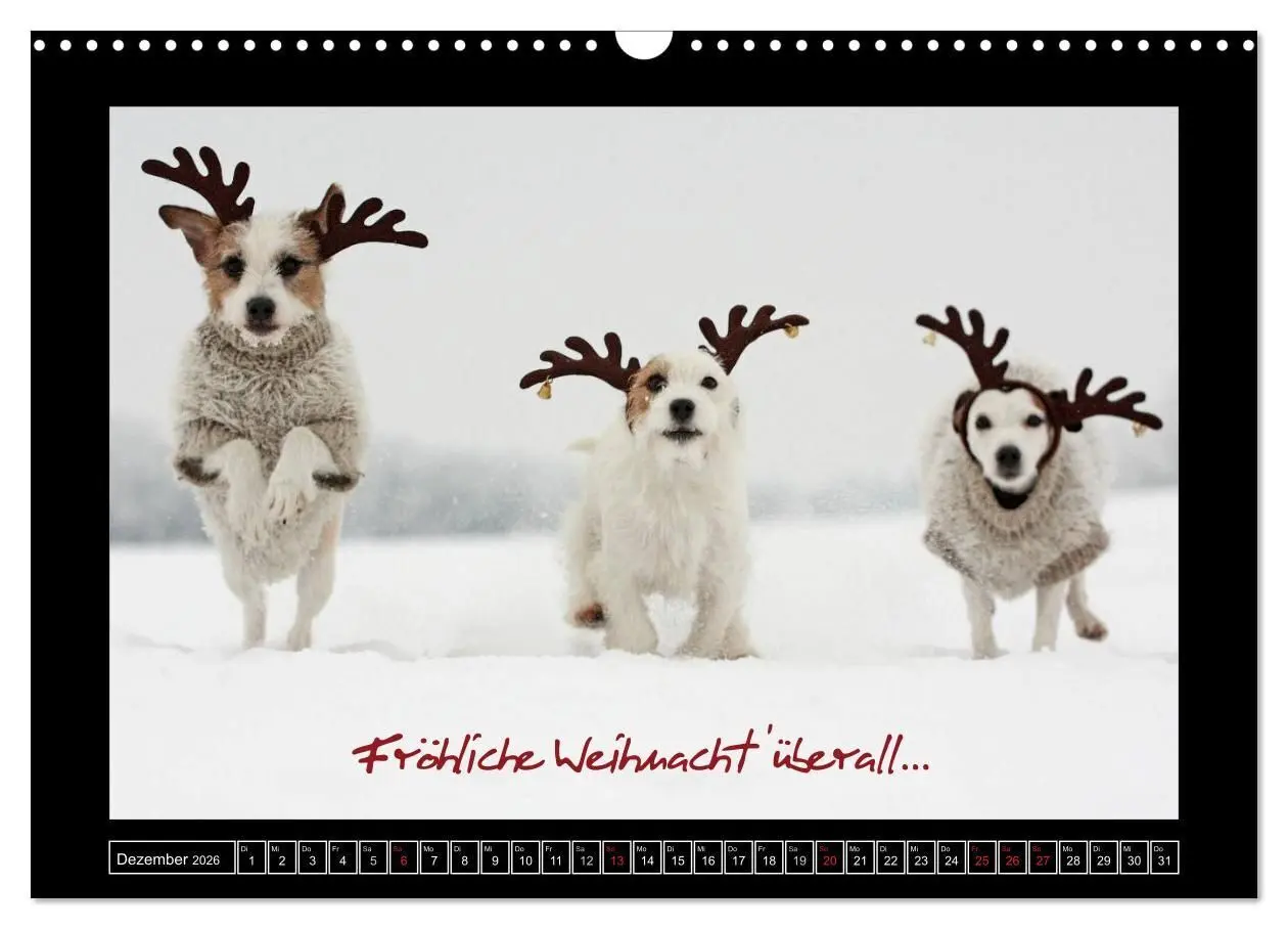 Bild: 9783516160017 | Parson Russell Terrier (Wandkalender 2026 DIN A3 quer), CALVENDO...