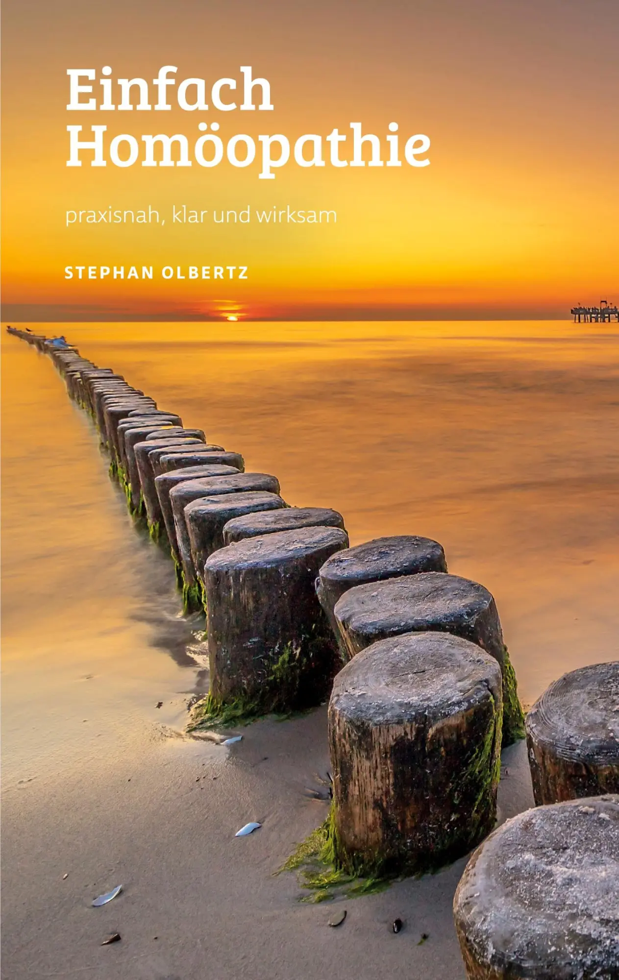Cover: 9783753460017 | Einfach Homöopathie | Praxisnah, klar und wirksam | Stephan Olbertz