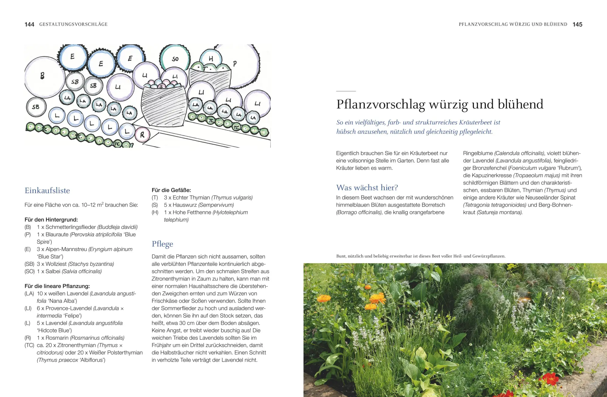 Bild: 9783967470017 | Robuste Schönheiten für den Garten | Ina Timm | Buch | 160 S. | 2020