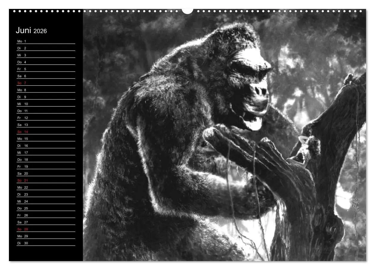 Bild: 9783516080117 | Kultfilme - schwarz-weiße Klassiker (Wandkalender 2026 DIN A2...