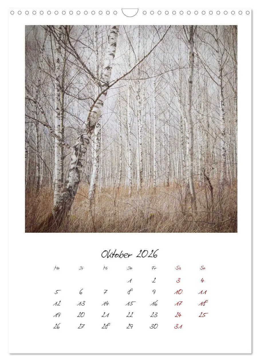 Bild: 9783516390117 | Rosenheim und Umgebung ... Landschaft genießen (Wandkalender 2026...