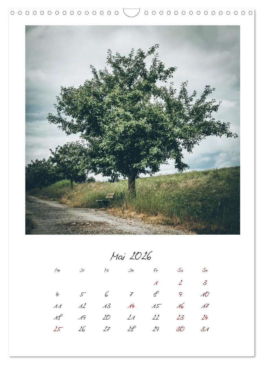 Bild: 9783516390117 | Rosenheim und Umgebung ... Landschaft genießen (Wandkalender 2026...