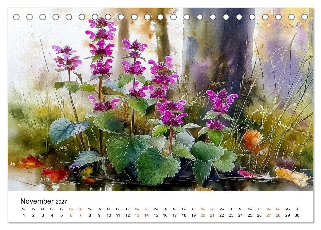 Bild: 9783516770117 | Wildblumen zwischen Moos und Farn (Tischkalender 2027 DIN A5 quer),...