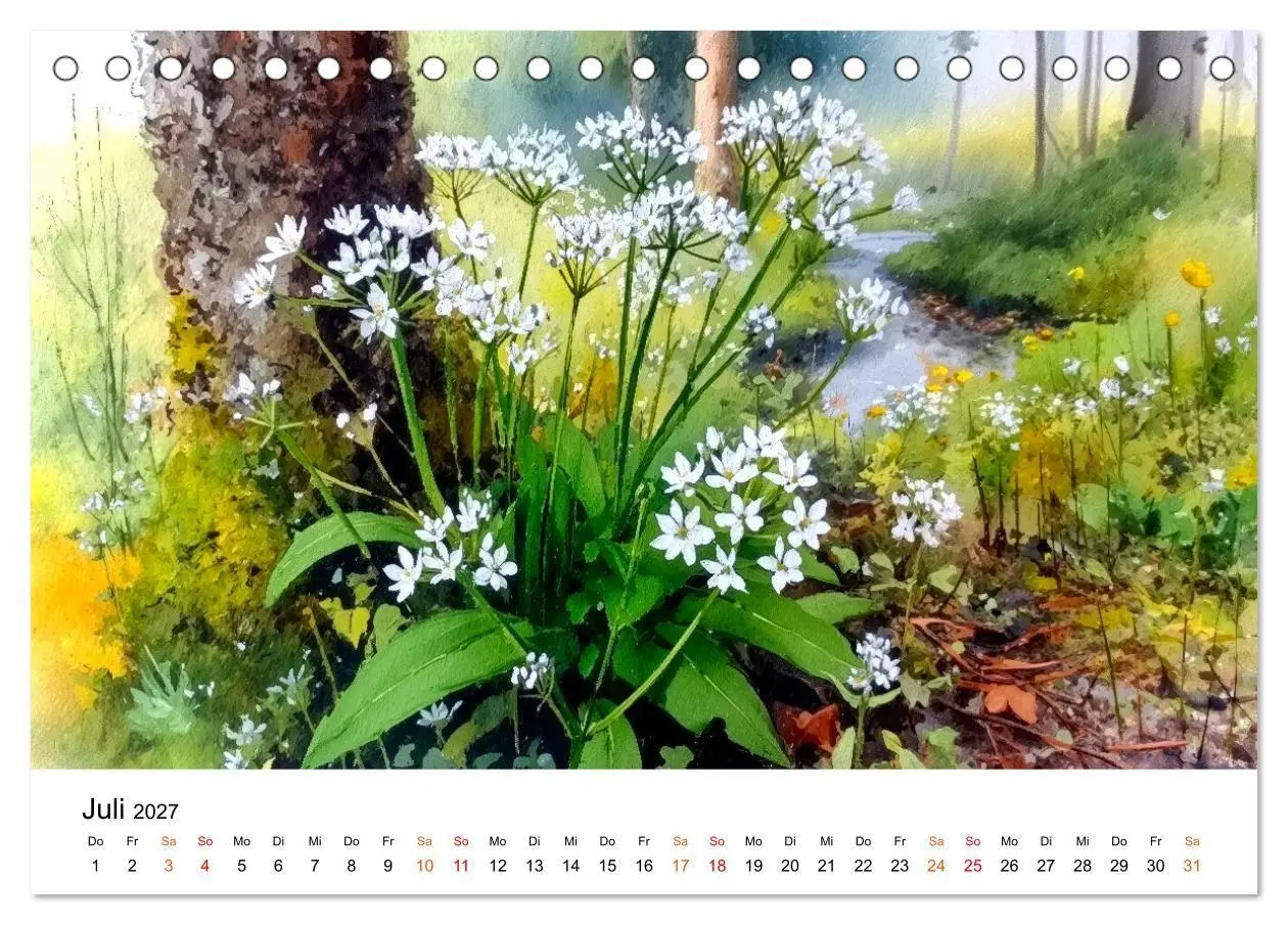 Bild: 9783516770117 | Wildblumen zwischen Moos und Farn (Tischkalender 2027 DIN A5 quer),...